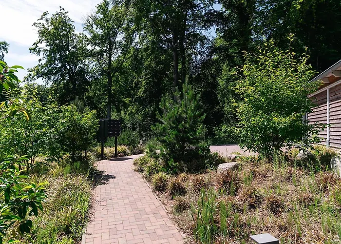 Haus Waldidyll, Waldperle Apartment *